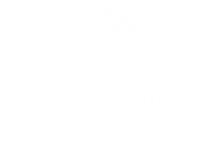 the dannon project